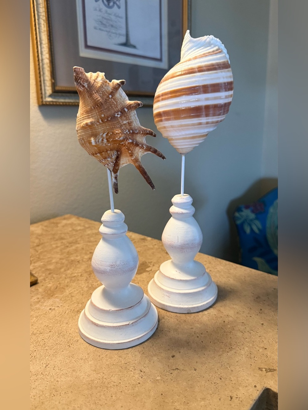 Coastal White Shell Pedestal Set - Home Accents